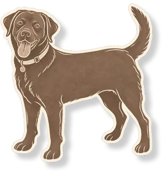 Wrenley the dog. Go to the registry